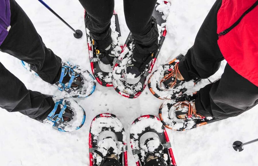 Tromsø: Arctic Sightseeing & Snowshoeing with picnic - Tromsø Arctic Road Trip Meets Real Snowshoe Time