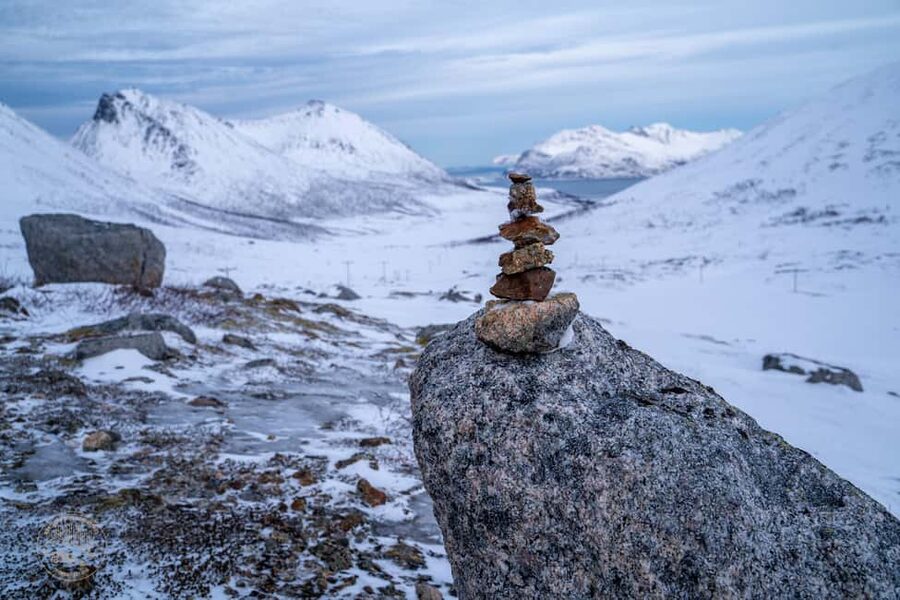 Tromsø: Arctic Sightseeing & Snowshoeing with picnic - Warm picnic in the wilderness: homemade sandwiches, biscuits, and hot drinks