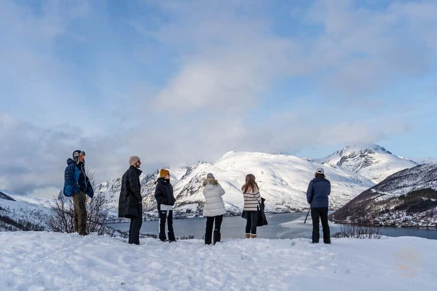 Tromsø: Arctic Sightseeing & Snowshoeing with picnic - Is it worth $141 per person?