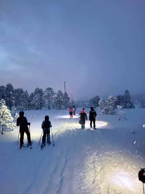 Tromsø: Artic Terrain Snowshoe Expedition with Local Guides - Key highlights worth your attention
