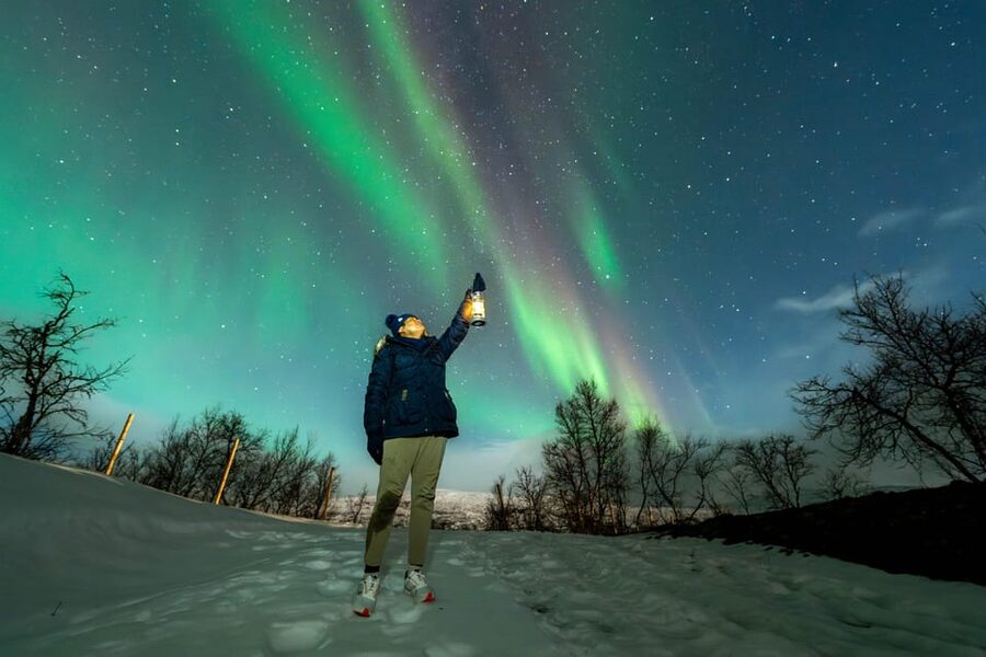Tromsø: Aurora Borealis, Campfire, Hot Meal, Arctic Tour - Key things I’d circle before you book