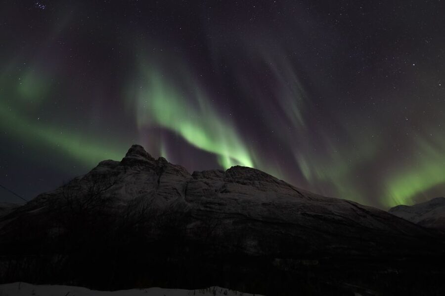 Tromsø: Aurora Borealis, Campfire, Hot Meal, Arctic Tour - Aurora photo help: tripod, tips, and professional portraits