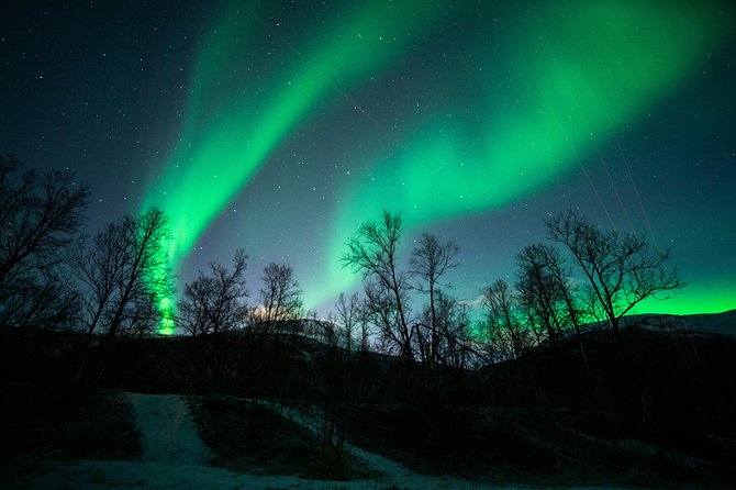 Tromso Aurora Chase by Minibus with Thermal Suit, Snack and Photo - Is This Tromsø Aurora Chase Good Value for $189.25?