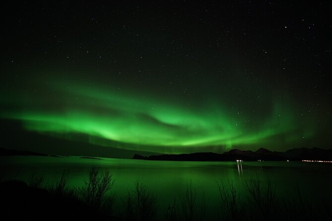 Tromso Aurora Chase by Minibus with Thermal Suit, Snack and Photo - Should You Book This Tromsø Northern Lights Tour?