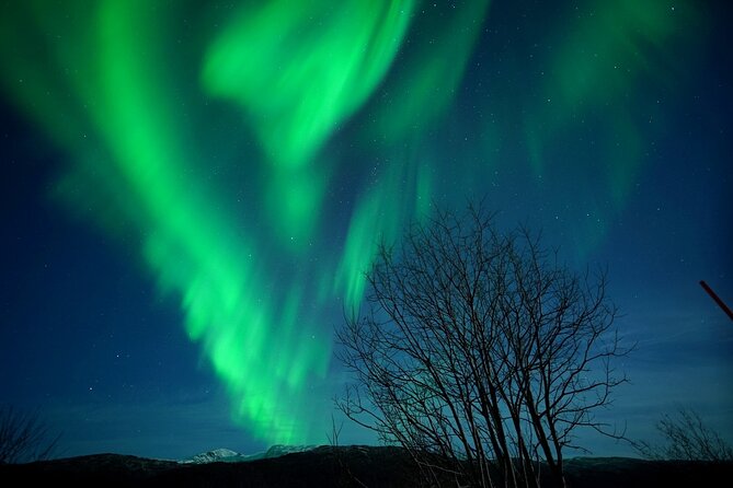 Tromso Aurora Chase by Minibus with Thermal Suit, Snack and Photo - Five Stops, One Goal: Tromsø, Hansnes, Kilpisjärvi, Bardufoss, Sommarøy