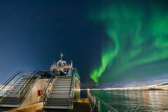 Tromso Aurora Cruise with 3-Course Dinner - Key details worth clocking before you go