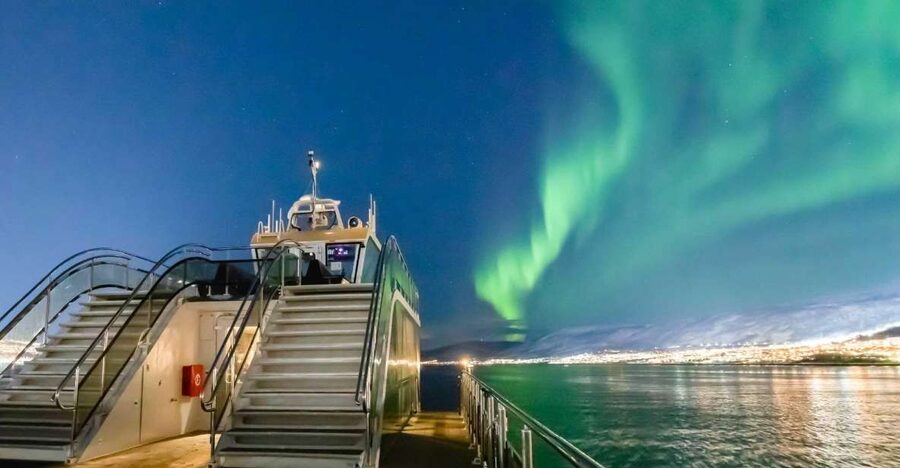Tromsø: Aurora Dinner Cruise by Hybrid-Electric Catamaran - Key things you should know before you go