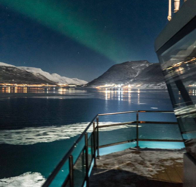Tromsø: Aurora Dinner Cruise by Hybrid-Electric Catamaran - The Nordic dinner: seafood-forward, but not inflexible