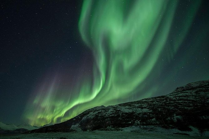 Tromso Aurora Hunt with Bonfire, Soup, Winter Gear & Transfers - What the bonfire camp feels like when the lights don’t show up right away