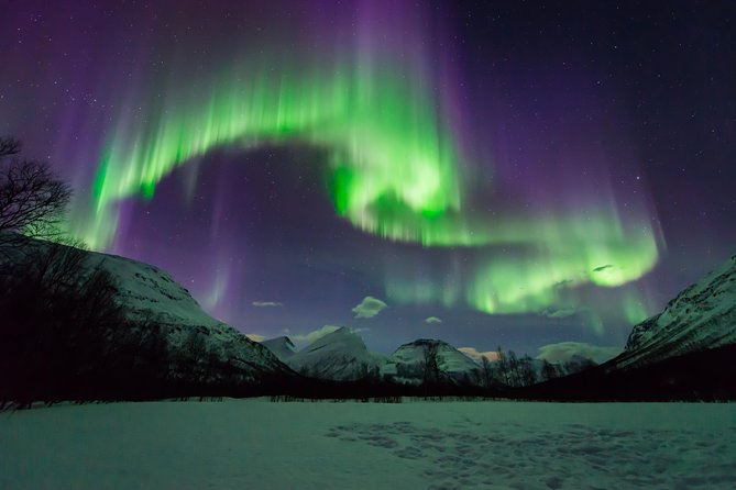 Tromso Aurora Hunt with Bonfire, Soup, Winter Gear & Transfers - Learning the aurora: the guide’s job is to translate the sky