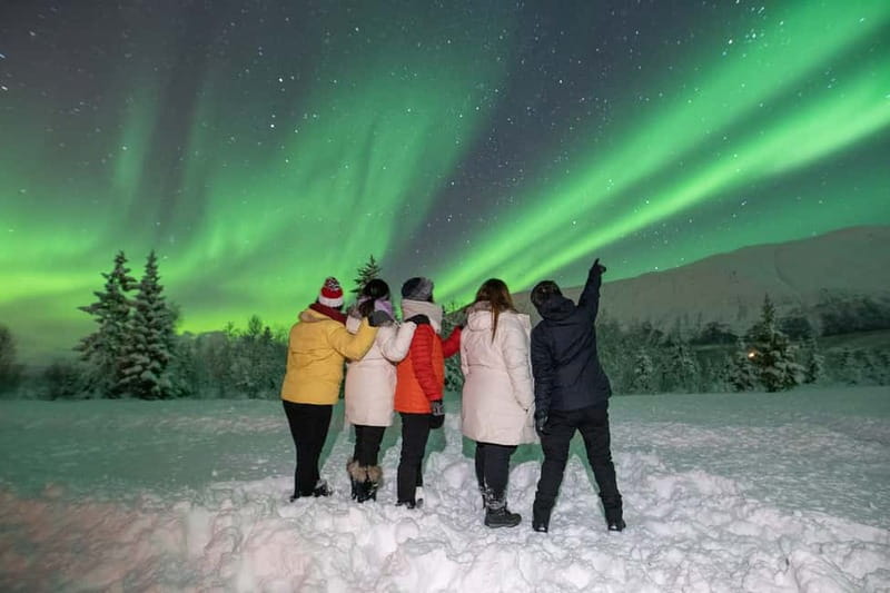 Tromsø: Aurora Safari Chase with Photos - Why this Aurora Safari works better than a simple bus tour