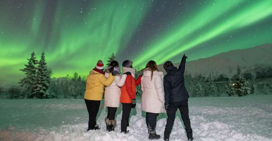 Tromsø: Aurora Safari Chase with Photos - Price and value: what you are really paying for at $124