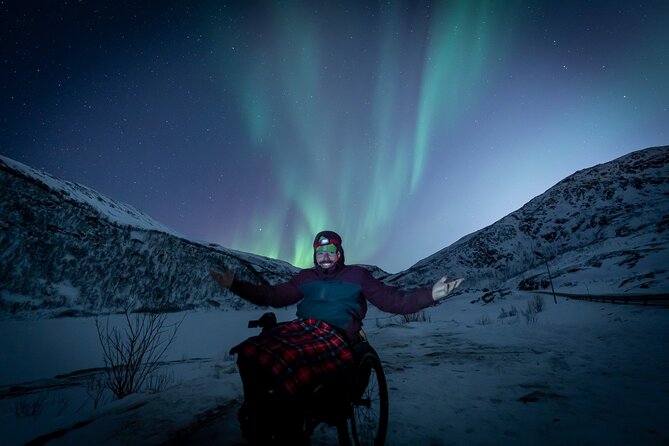 Tromsø Aurora Tour For All - Price and value: what $199.35 gets you at night