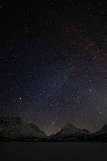 Tromsø: Aurora Tour with Photos, Campfire and Arctic Food - Campfire food and the Arctic taste that people remember