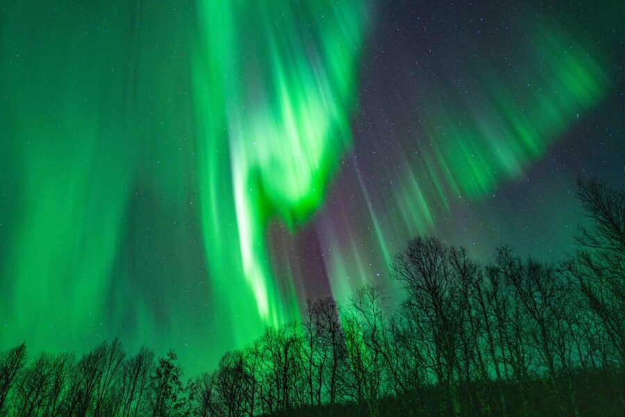 Tromsø: Aurora Tour with Photos, Campfire and Arctic Food - Watching the aurora without turning it into a 7 hour misery test