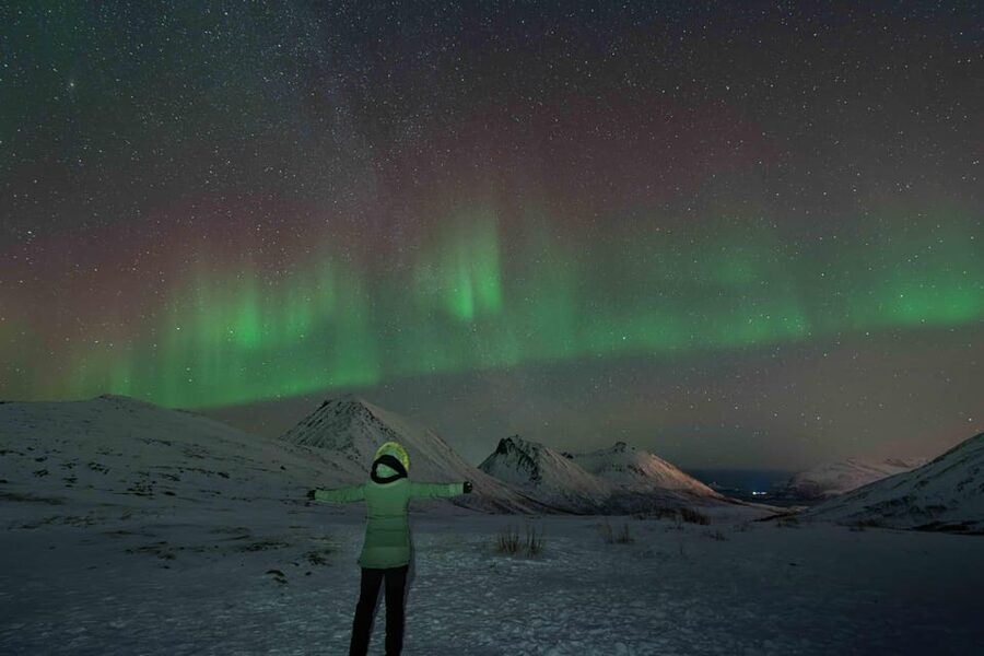 Tromsø: Aurora Tour with Photos, Campfire and Arctic Food - Photo stops and aurora photography help that makes sense