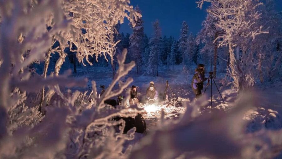 Tromsø: Big Bus Northern Lights Tour with Free Photos - Where You Go on the Night: Fjords, Open Areas, and Border Choices