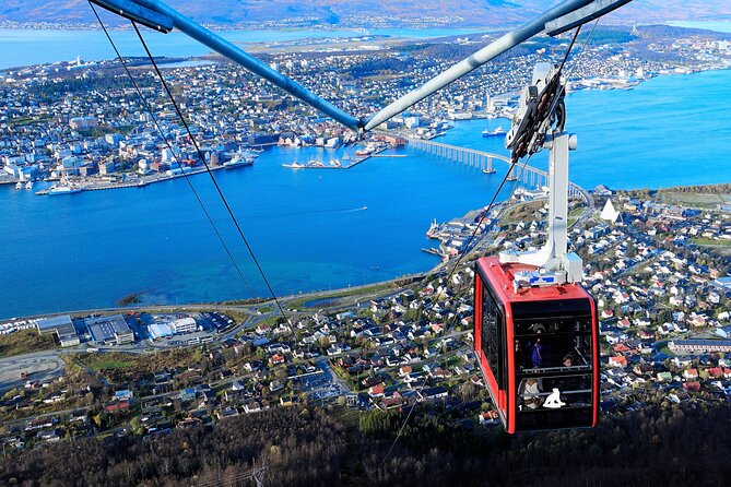 Tromso Cable Car Arctic Panorama Transfer - Meeting at Tromsø Domkirke and Riding Through the City Sights