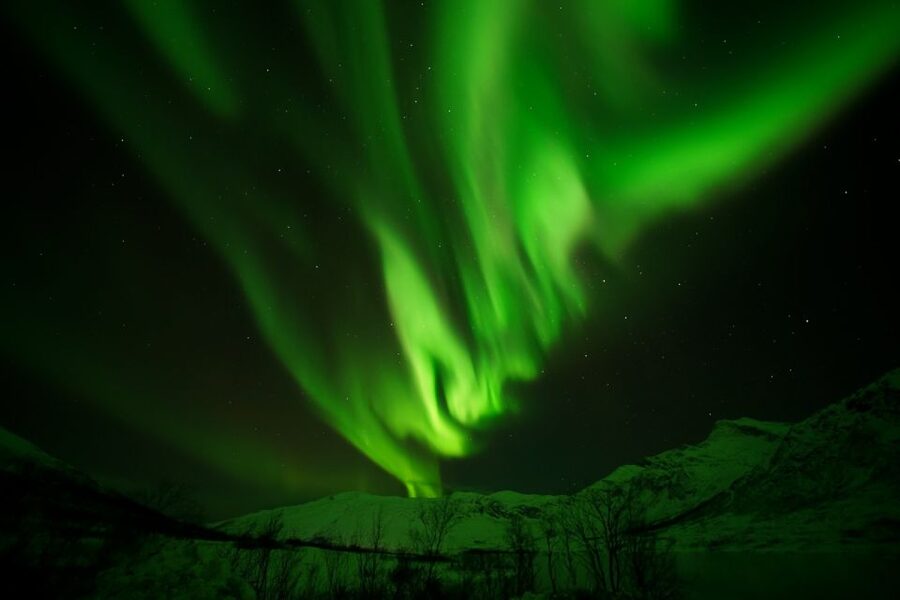 Tromsø: Chase Aurora in Minibus and Free Aurora Portrait - The Evening Food and Campfire Vibe
