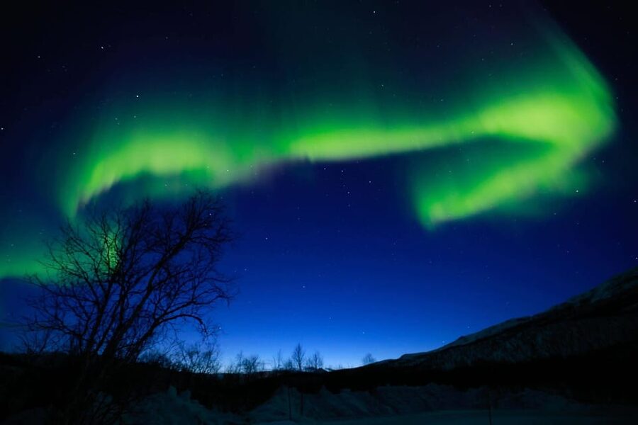 Tromsø Chinese Aurora Tour - What You Do When You’re Waiting: Bonfire, Sausages, Hot Drinks