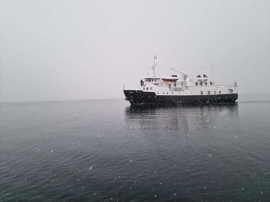 Tromsø: Classic arctic fjord cruise with lite lunch - Key things to know before you go