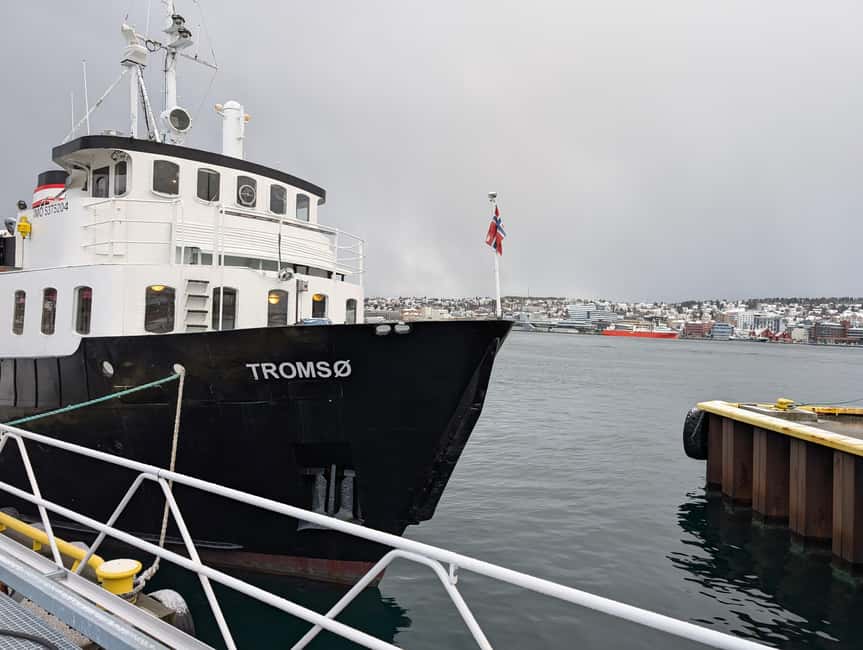 Tromsø: Classic arctic fjord cruise with lite lunch - A classic Tromsø fjord cruise on MS Tromsø