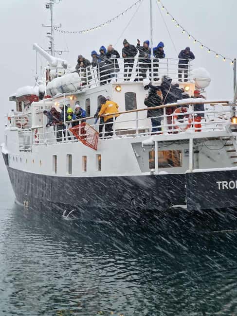 Tromsø: Classic arctic fjord cruise with lite lunch - Price and what $103 gets you for 4.5 hours