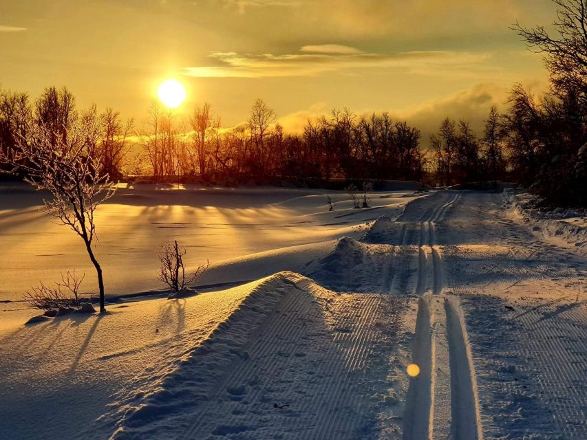 Tromsø: Cross Country Guided Skiing Course - Entering Tromsø on Langrenn Skis at Charlottenlund