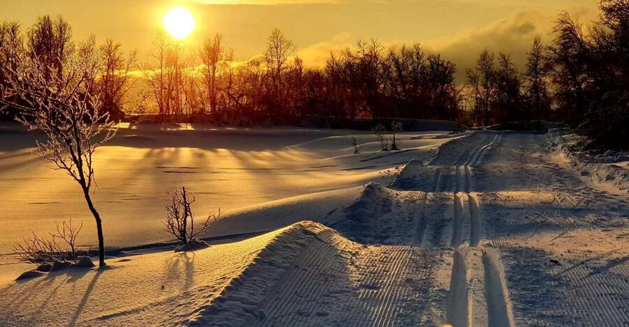 Tromsø: Cross Country Guided Skiing Course - Logistics That Actually Matter on Snow Days