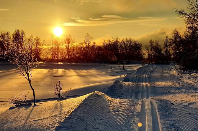 Tromsø Cross-Country Ski Adventure - Your 2.5 to 3 Hour Plan, Broken Down
