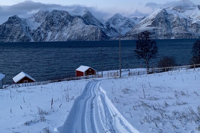 Tromsø Cross-Country Ski Adventure - Gear Included, Plus One Safety Note on Ice