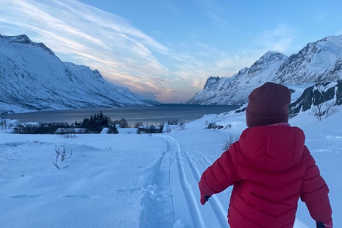 Tromsø Cross-Country Ski Adventure - Who This Is Best For (And Who Might Want Another Option)