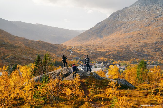 Tromsø: Day trip to the island of Sommarøy through the Fjords - The van experience, coffee or tea, and the hot meal reality