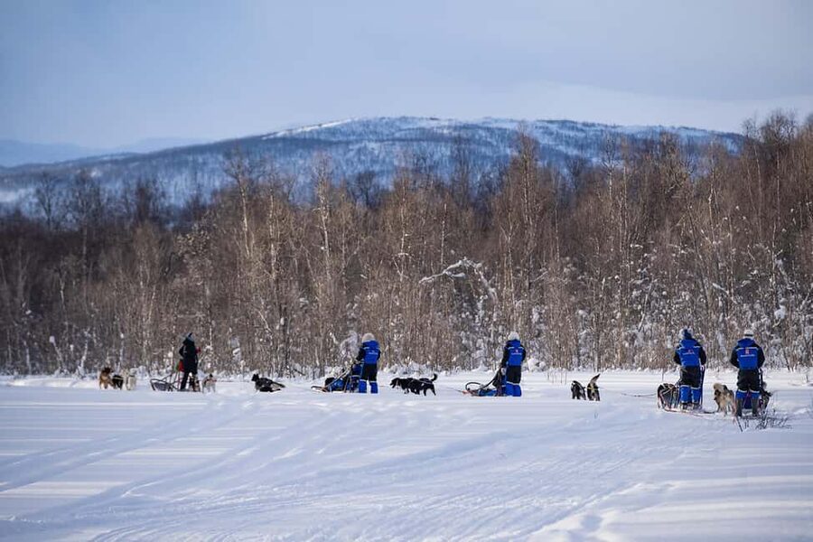 Tromsø: Dog Sledding Adventure at Camp Aspemo - Key Highlights Worth Marking on Your Tromsø Map