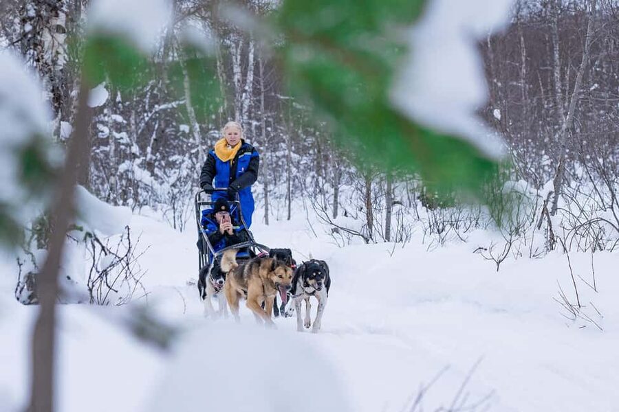 Tromsø: Dog Sledding Adventure at Camp Aspemo - Getting Warm Gear and Husky Background Before the Sled