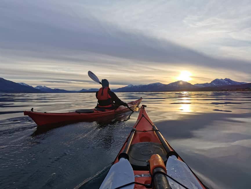Tromsø: Easy-going Guided Winter Sea Kayaking Tour - Quick hits before you go