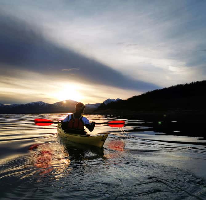 Tromsø: Easy-going Guided Winter Sea Kayaking Tour - Why winter sea kayaking near Tromsø is such a good use of 4 hours