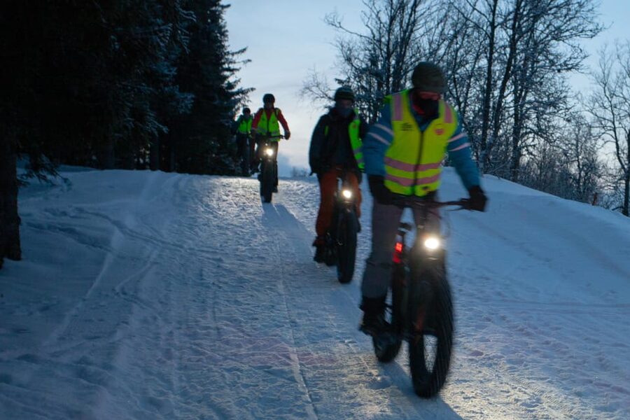 Tromsø: Electric fatbike trip on winter paths - Key Highlights You’ll Notice Right Away