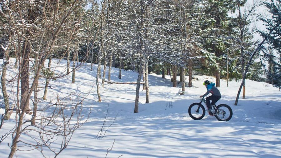 Tromsø: Electric fatbike trip on winter paths - City Streets, Then Tromsømarka: How the Route Changes in Winter