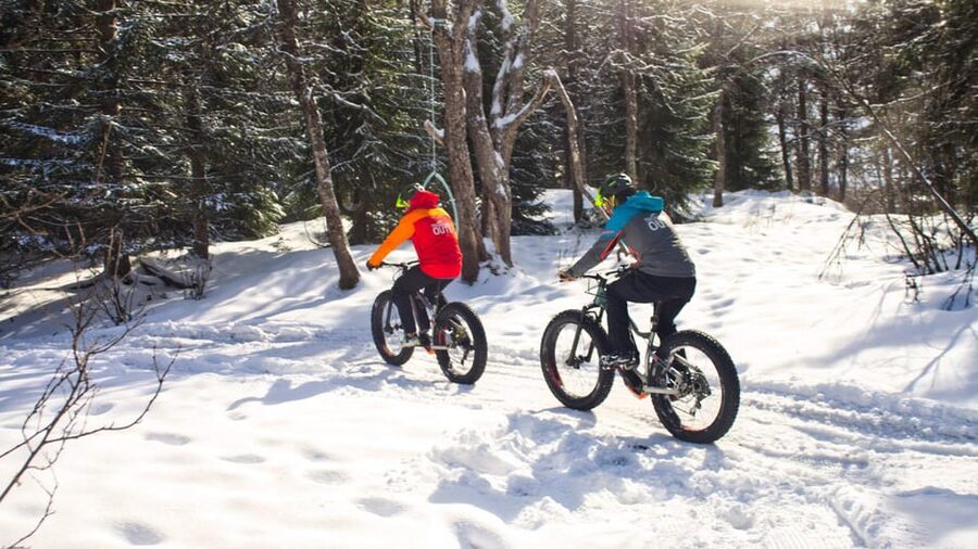 Tromsø: Electric fatbike trip on winter paths - Price and Value: Why $186 Feels Fair for a 3-Hour Winter Ride