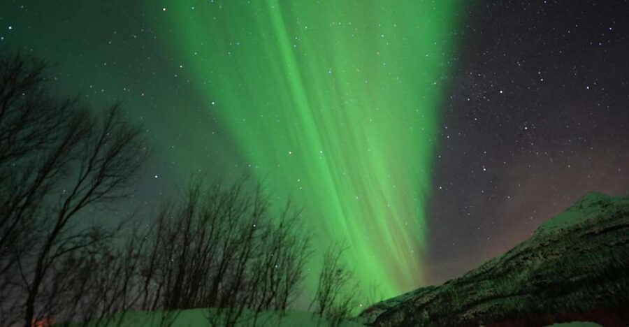 Tromsø: English/Spanish Aurora Pathfinder Tour with Photos - How the minibus hunt beats the big-bus plan