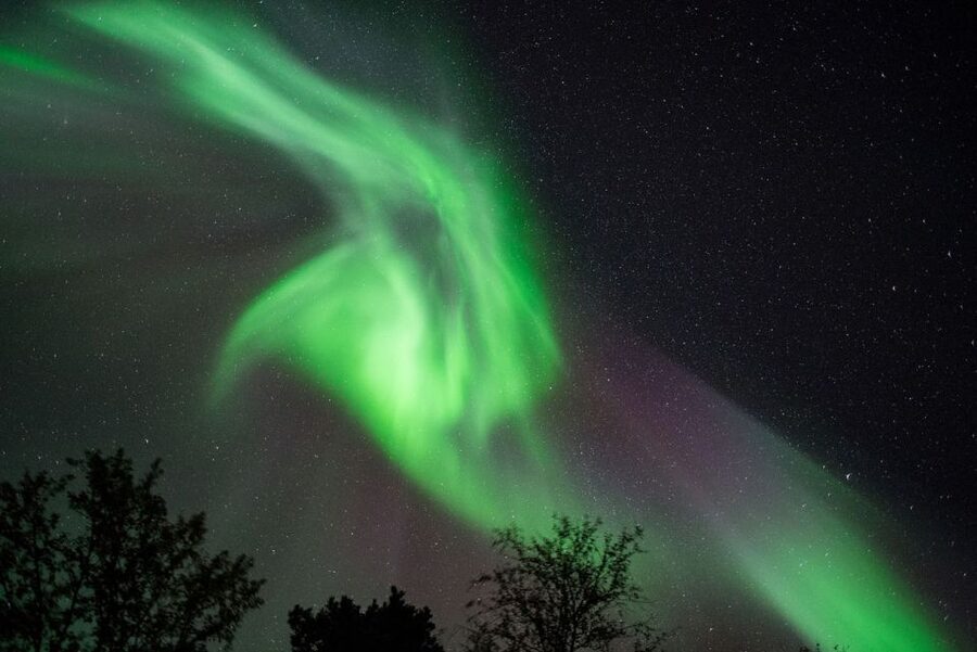 Tromsø: Evening Aurora Cruise (dinner optional) - The 3.5 Hours: How the Cruise Paces the Night