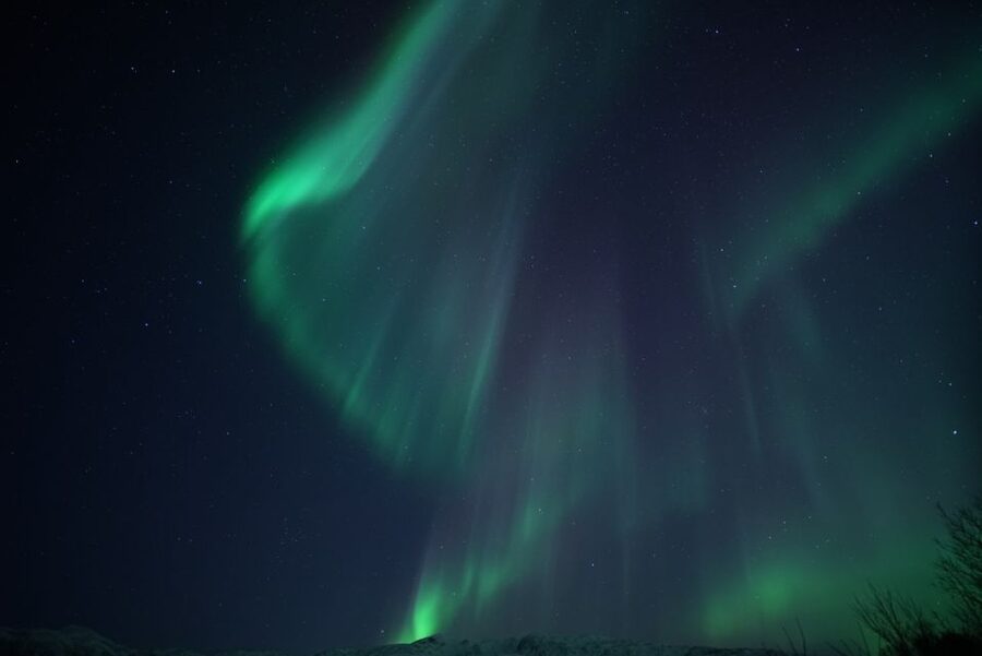 Tromsø: Evening Aurora Cruise (dinner optional) - How They Actually Hunt the Green Lady