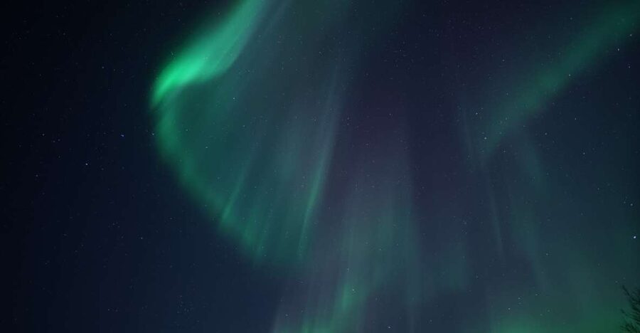 Tromsø: Evening Aurora Cruise (dinner optional) - Where You Start: Polar Adventures at Kilengreensgate