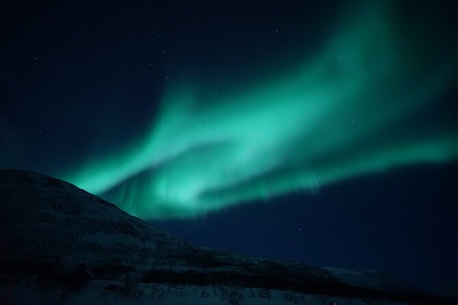 Tromsø: Evening Cruise with Northern Lights Opportunity - Key Highlights Worth Booking For