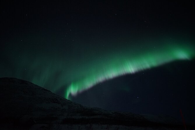 Tromsø: Evening Cruise with Northern Lights Opportunity - Meet at Polar Adventures Tromsø, Front Pier, and Expect a Tight Timeline