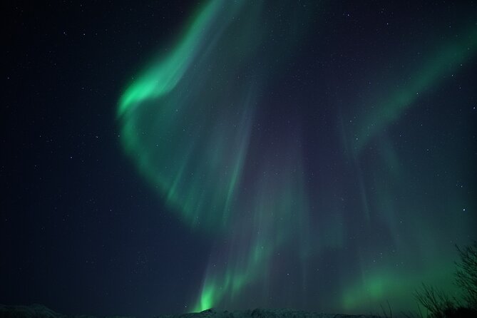 Tromsø: Evening Cruise with Northern Lights Opportunity - Boarding Setup: Thermal Suits, Warm Drinks, and On-Boat Comfort
