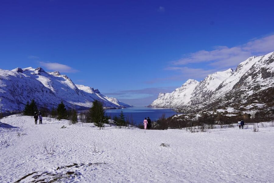Tromsø: Exclusive Fjord Adventure by Bus - Key things I think you’ll care about