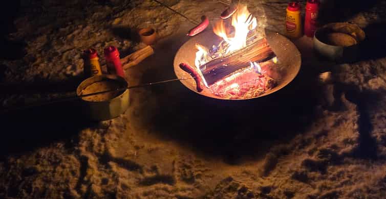 Tromsø: Expert Aurora Hunt - Thermal Gear, Food, Campfire - Bonfire Cooking: Reindeer Sausages and Hot Drinks Outside
