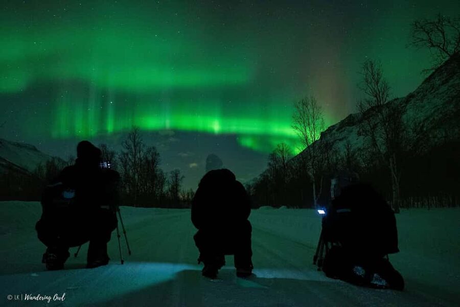 Tromsø: Express Aurora Hunt - Price and Value: Is $125 Worth the Midnight Guarantee?